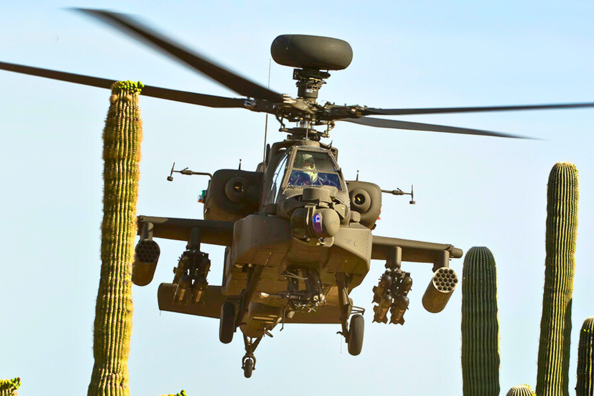 Indian Army Inducts First Batch of AH-64E Apache Helicopters