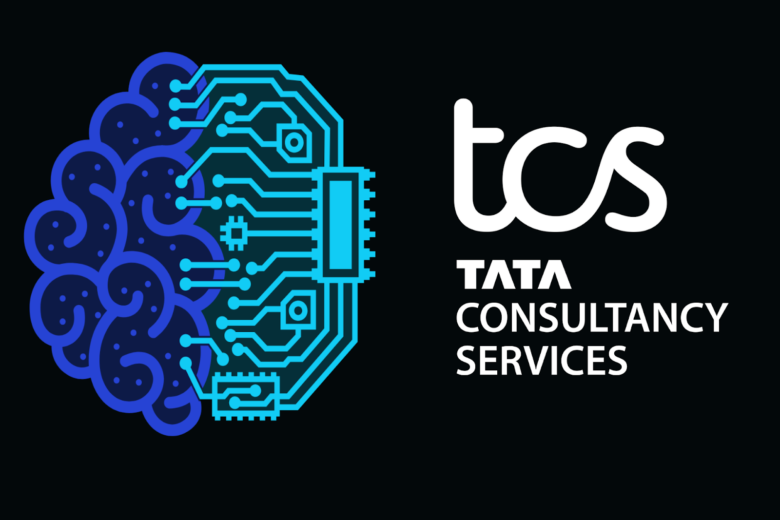 TCS Launches AI Transformation Unit, Appoints Amit Kapur as Chief