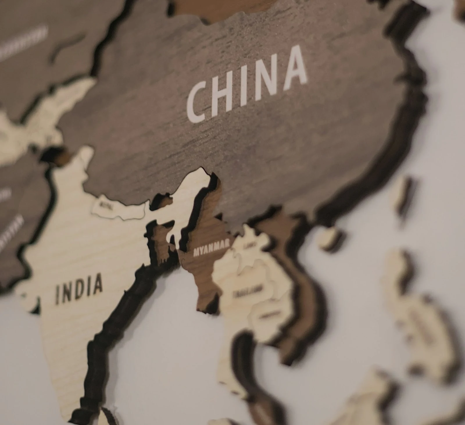 China Accuses India of Unfair EV Subsidies at Global Trade Body